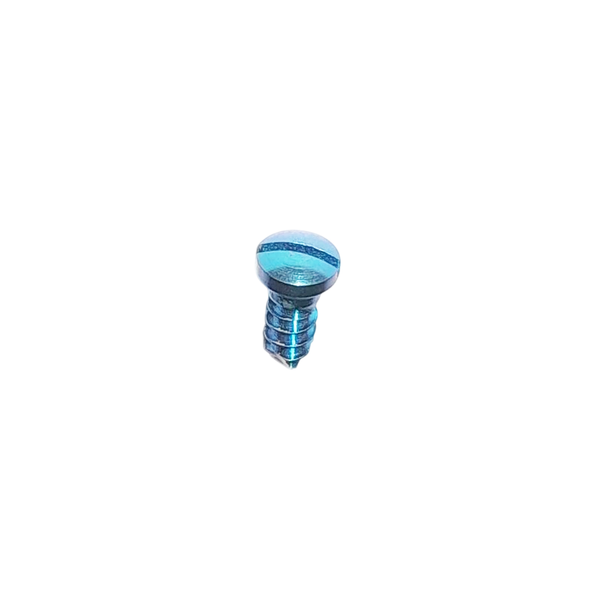 SK Surgicals Titanium Single Slot Screws - 2.5mm x 4mm (2504T) (Pack of 5 )