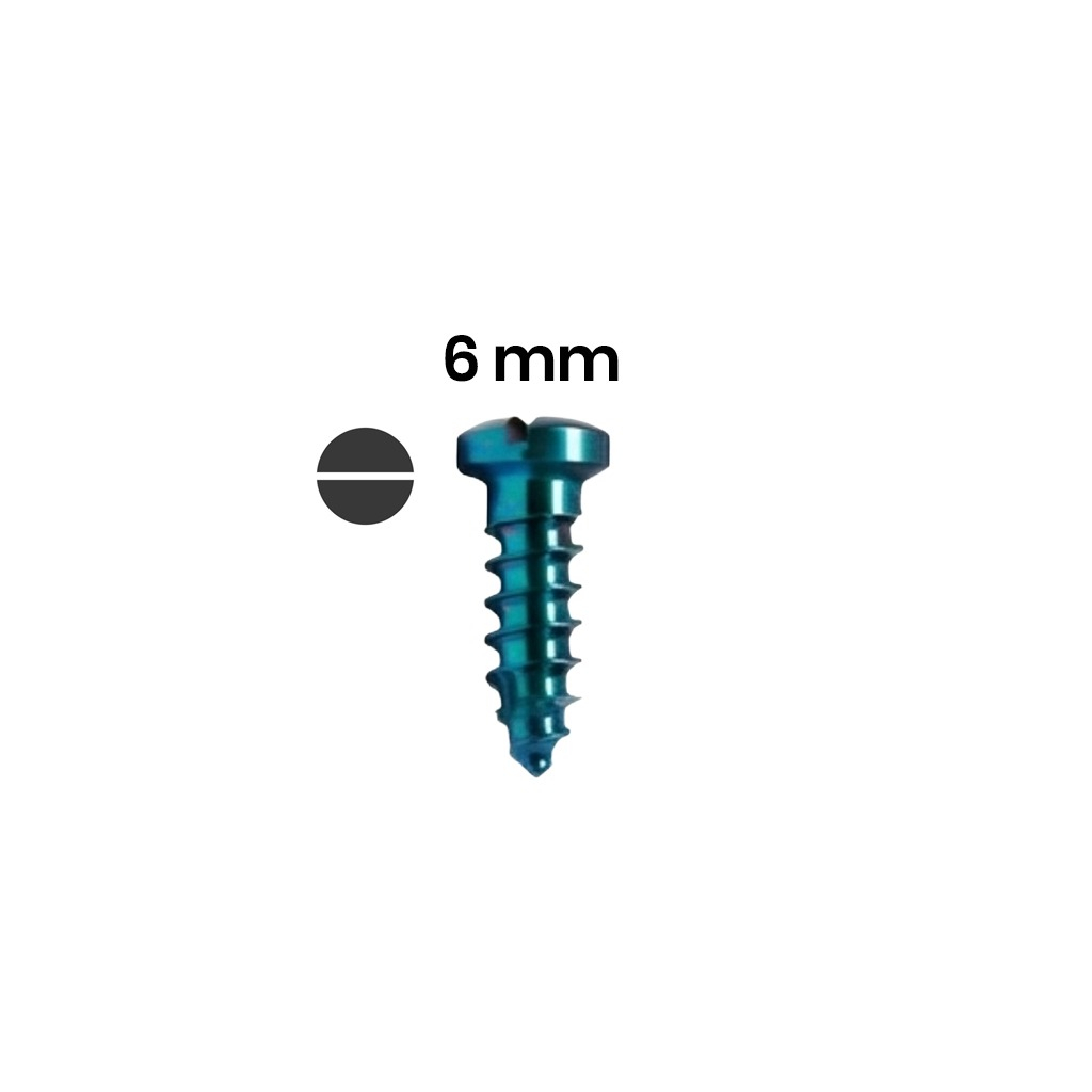 SK Surgicals Titanium Single Slot Screws - 2.5mm x 6mm (2506T) (Pack of 5 )