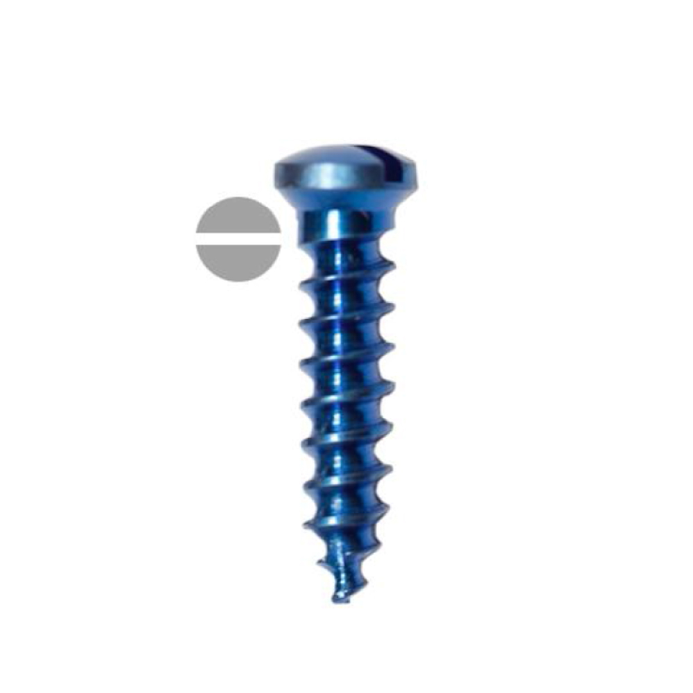 SK Surgicals Titanium Single Slot Screws - 2mm x 6mm (2006T) (Pack of 5 )