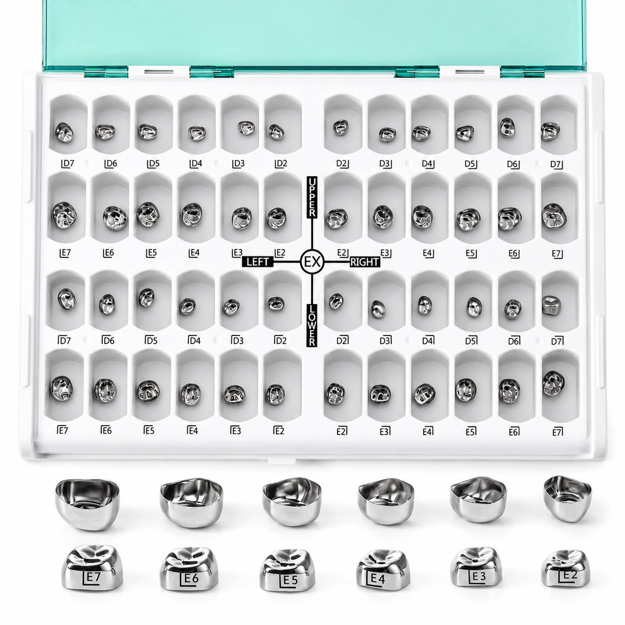 U Ortho Stainless Steel Primary Molar Crown - Assorted Kit (Set of 48)