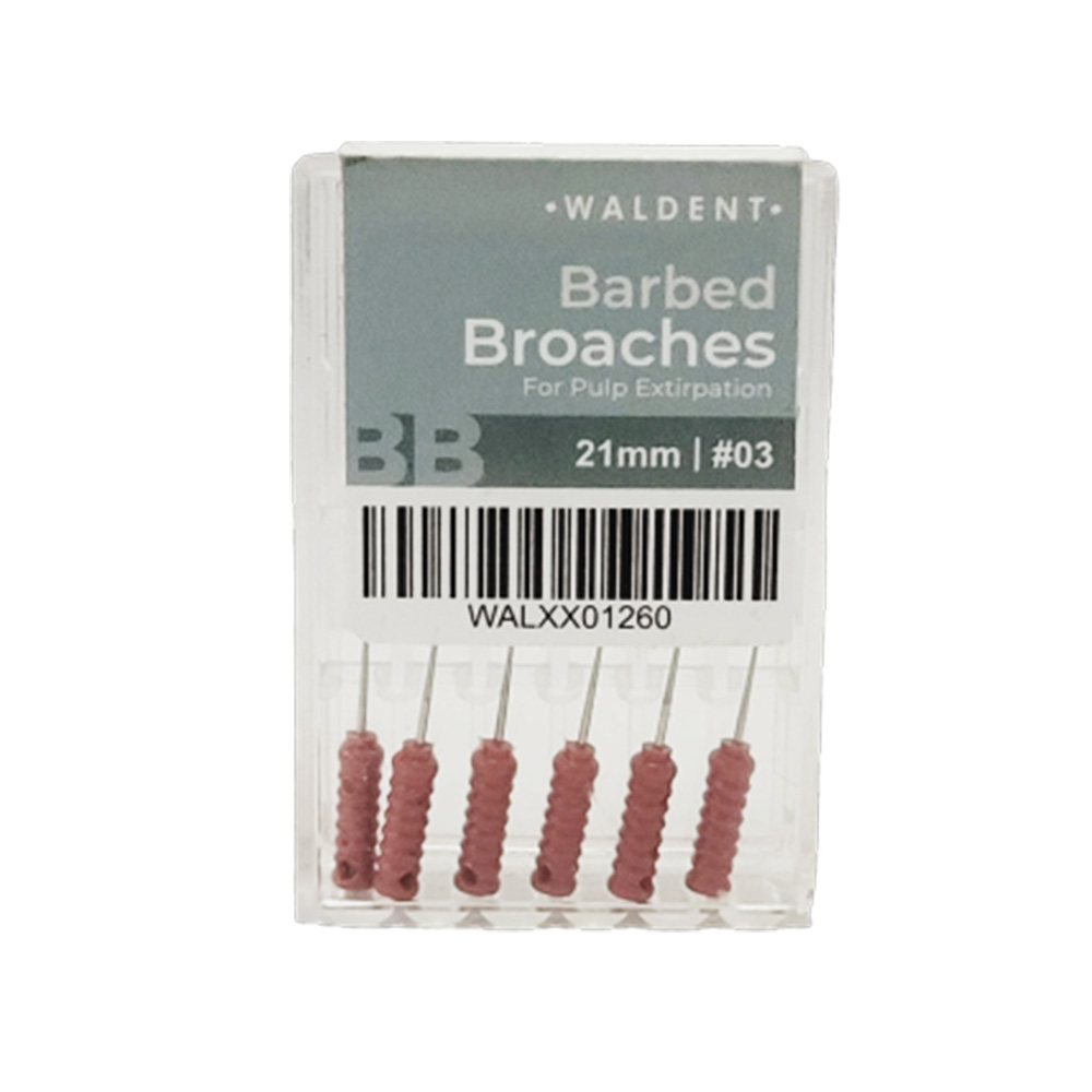 Waldent Barbed Broaches 21mm # 03 (Pack of 6)