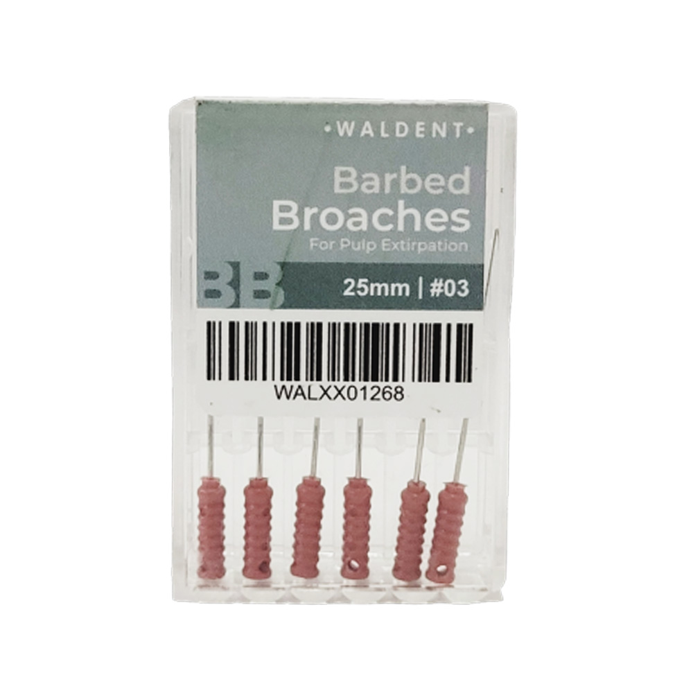 Waldent Barbed Broaches 25mm # 03 (Pack of 6)